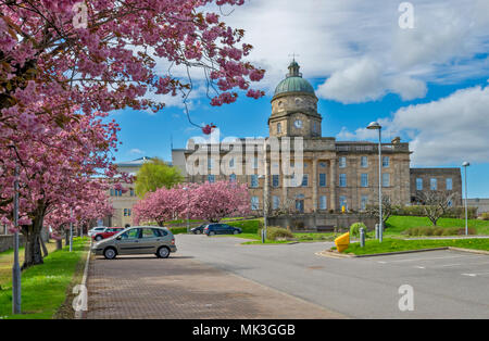 DR GREYS KRANKENHAUS ELGIN Moray in Schottland IM FRÜHJAHR PINK CHERRY TREE BLOSSOM IN EINEM PARKPLATZ Stockfoto