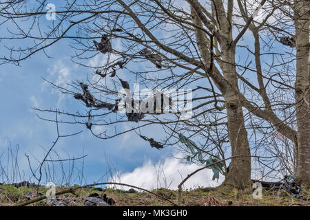 Kunststoff WRAPPER VON BAUERNHOF BALLEN VON SILEAGE ZERRISSEN DURCH WIND UND VERFANGEN IN BÄUMEN Stockfoto