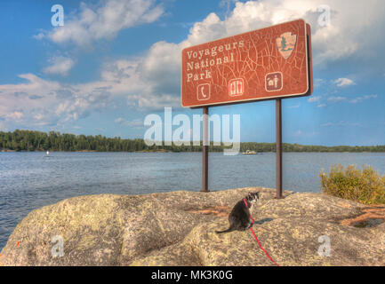 Luna das Abenteuer Kitty ist eine Katze explorer Wer reist der Mittelwesten und darüber hinaus auf der Suche nach neuen Dingen zu sehen und neue Orte zu besuchen. Stockfoto