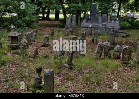 Shiromizu Yaehara ist ein Stadtteil von Ueda, Nara Präfektur Stockfoto