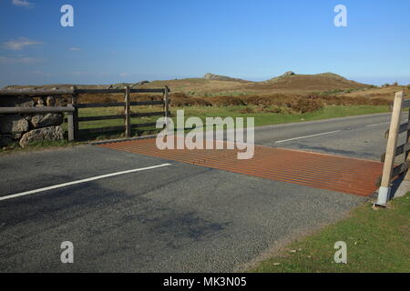 Blick Richtung Haytor/Sattel Tor, Dartmoor National Park, Devon, Großbritannien Stockfoto