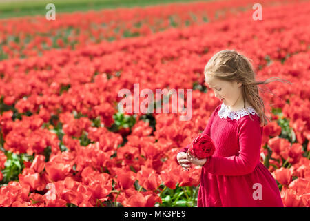 Kind in rote Blume Feld. Poppy und Tulip Blumen Garten. Wenig niederländischen Mädchen in Tulpen Bauernhof in Holland. Blühender Mohn Blumen für Tag der Erinnerung. Ki Stockfoto