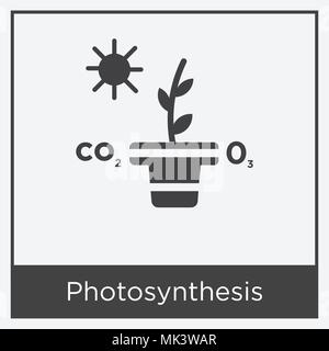 Die Photosynthese Symbol auf weißem Hintergrund mit grauen Rahmen, Zeichen und Symbol isoliert Stock Vektor