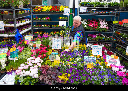 Blume Verkäufer in seinem Stall in der Columbia Road Blumenmarkt, London, UK Stockfoto