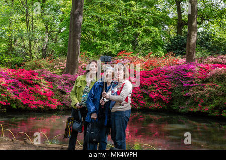 Eine Gruppe von Damen eine selfie Foto vor dem blühenden Azaleen am noch Teich, Isabella Plantation, Richmond, Surrey, England Stockfoto