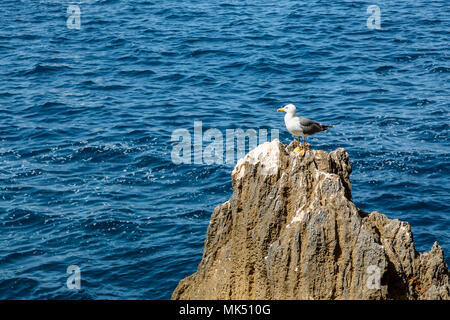 Am Eingang des Neptuns Grotte auf 'Capo Caccia' auf der Insel Sardinien Stockfoto