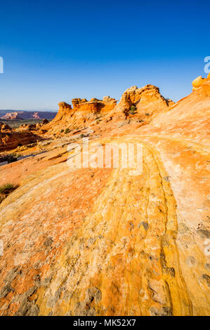 Mehrfarbige Sandstein Streifen und Formationen Cottonwood access Area South Coyote Buttes Vermilion Cliffs National Monument Arizona USA Stockfoto