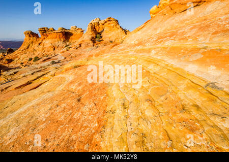 Mehrfarbige Sandstein Streifen und Formationen Cottonwood access Area South Coyote Buttes Vermilion Cliffs National Monument Arizona USA Stockfoto