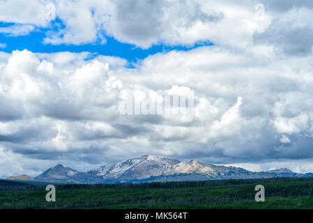 Mit Blick auf einen grünen Wald und Tal mit hohen Schnee Berge im Hintergrund unter einem blauen Himmel mit weißen flauschigen Wolken bedeckte. Stockfoto