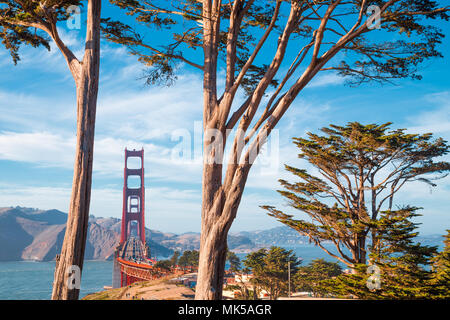 Berühmte Golden Gate Bridge von alten Zypressen im Presidio Park gerahmt an einem schönen sonnigen Tag mit blauen Himmel und Wolken, San Francisco, Kalifornien Stockfoto