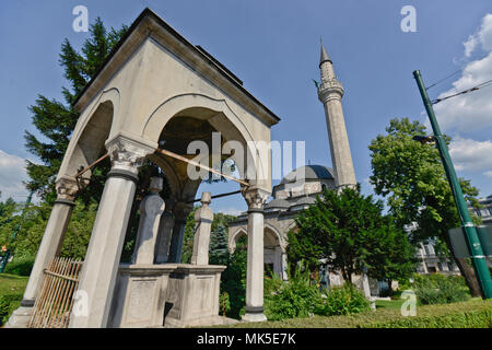 Alipasina Moschee, Sarajevo, Bosnien Stockfoto