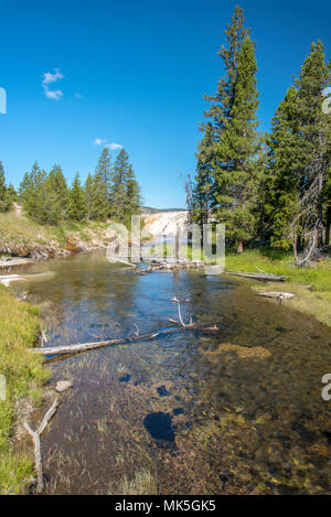 Creek mit Kiefern von Bäumen und Protokolle, grüne Felder auf jeder Seite und hohen grünen Pinien unter blauem Himmel. Stockfoto