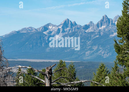 Wald, das Tal und die Berge unter blauem diesigen Himmel. Stockfoto