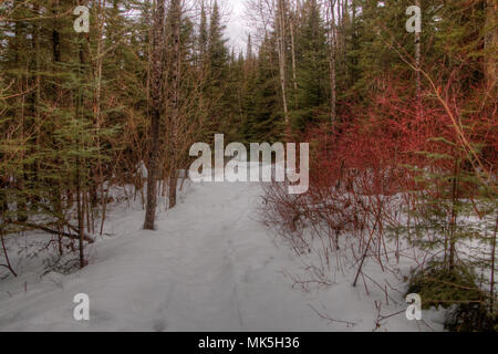 Winter in Pigeon River Provincial Park im nördlichen Ontario von Thunder Bay Stockfoto