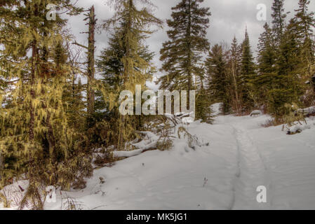 Winter in Pigeon River Provincial Park im nördlichen Ontario von Thunder Bay Stockfoto