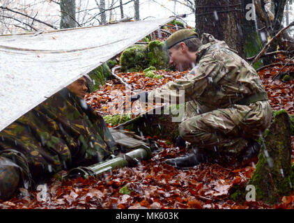 Trotz Schnee, Brig. Gen. Zac Stenning, Commander, 1. mechanisierten Brigade der Britischen Armee, Haltestellen von mit britischen Soldaten mit der 1 Bataillon, Royal Regiment der Füsiliere Ausbildung bei der US Army Joint Multinational Readiness Center in Hohenfels, Deutschland zu besuchen, da sie in Alliierten Geist VII, 12 Nov. 2017 teilnehmen. Etwa 4.050 Mitglieder aus 13 Nationen nehmen an der übung Allied Geist VII 7th Army Training Befehl des Truppenübungsplatzes Hohenfels, Deutschland, Okt. 30 bis Nov. 22, 2017. Allied Geist ist ein US-Army Europe, 7 ATC-durchgeführte multinationale Ex Stockfoto