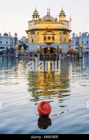 Amritsar, Punjab, Indien: ein Sikh Mann nimmt ein heiliges Bad an der Amrit Sarovar (Pool von Nektar) der Goldene Tempel beleuchtet in der Abenddämmerung. Stockfoto