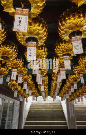 Reihen von wunderschönen glänzenden Golden Lotus Laternen hängen von der Decke der Eingang zu Donghwasa Tempel in der Nähe von Daegu, Südkorea: Sind für Einkommen verkauft. Stockfoto