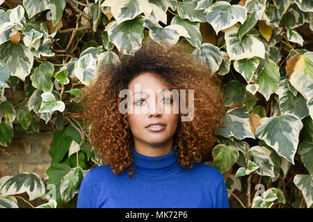 Schöne junge afrikanische amerikanische Frau, Modell der Mode, mit Afro Frisur und grüne Augen trägt blaue Pullover gegen die Blätter an der Wand Stockfoto