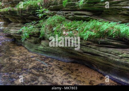 Hexen Gulch ist eine versteckte Attraktion in Wisconsin Dells und kann nur mit dem Boot erreicht werden. Stockfoto