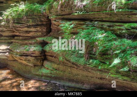Hexen Gulch ist eine versteckte Attraktion in Wisconsin Dells und kann nur mit dem Boot erreicht werden. Stockfoto
