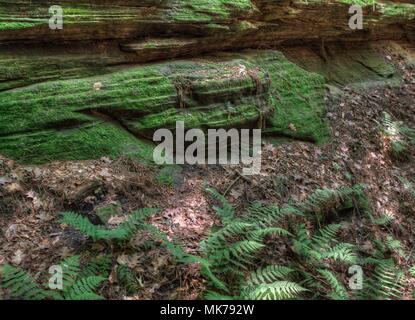 Hexen Gulch ist eine versteckte Attraktion in Wisconsin Dells und kann nur mit dem Boot erreicht werden. Stockfoto