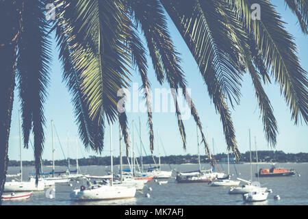 Pier am Hafen - Colonia del Sacramento, Uruguay Stockfoto