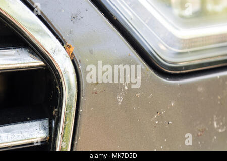 Nahaufnahme der vorderen Stoßfänger mit Viele zertrümmerte Insekten. Mit hoher Geschwindigkeit fahren. Stockfoto