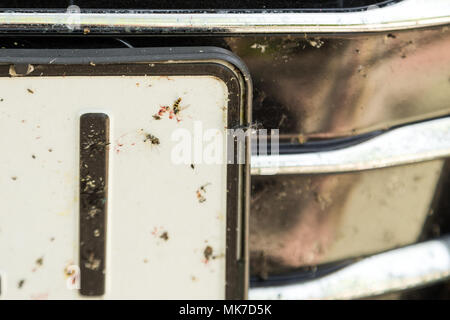 Nahaufnahme der vorderen Stoßfänger mit Viele zertrümmerte Insekten. Mit hoher Geschwindigkeit fahren. Stockfoto