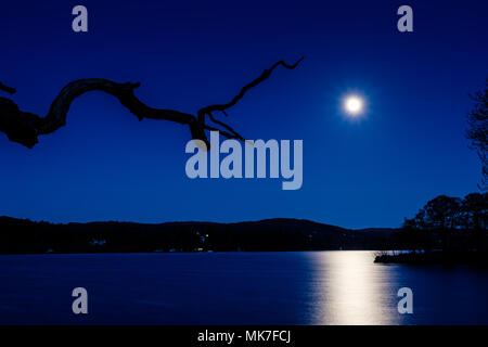 Moonlight oben Windermere, Lake District, Cumbria Stockfoto