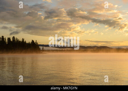 Morgen nebligen See - bunte Wolken und morgen Nebel über Yellowstone Lake, Yellowstone National Park, Wyoming, USA. Stockfoto