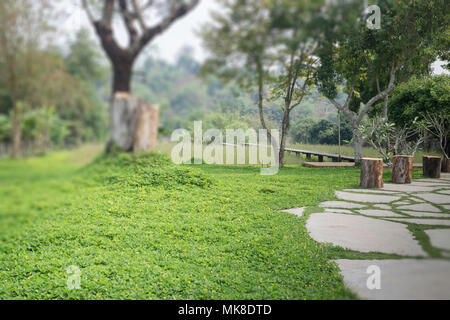 Schöne frische Green Bush Blätter, Foto Stockfoto