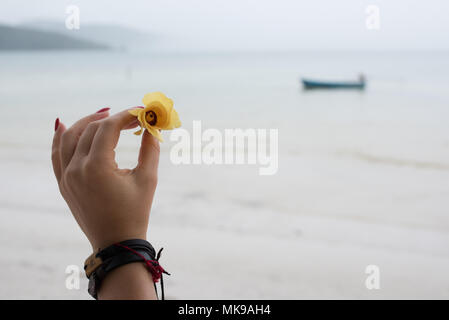 Frau mit yelloWoman Holding gelbe Blume in Handw Blume in der Hand Stockfoto
