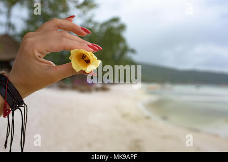 Frau mit yelloWoman Holding gelbe Blume in Handw Blume in der Hand Stockfoto