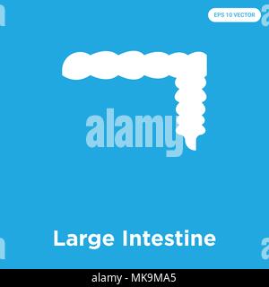 Dickdarm vektor Symbol auf blauem Hintergrund, Zeichen und Symbol isoliert Stock Vektor