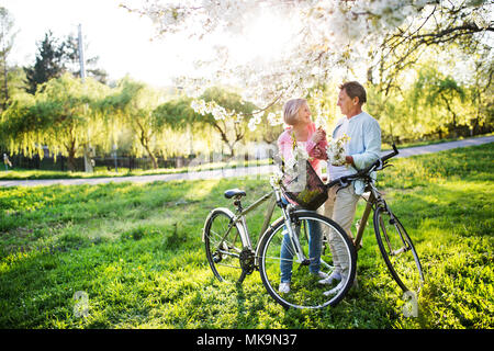 Schönes älteres Ehepaar mit Fahrräder außerhalb im Frühjahr die Natur. Stockfoto