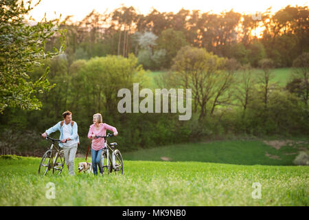 Schönes älteres Ehepaar mit Fahrrad und Hund draußen im Frühjahr die Natur. Stockfoto