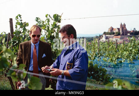 Erbprinz Karl Friedrich von Hohenzollern, als Winzer und Küfer, Deutschland 1987. Der thronfolger Karl Friedrich, Prinz von Hohenzollern, arbeitet als Winzer und Cooper, Deutschland 1987. Stockfoto