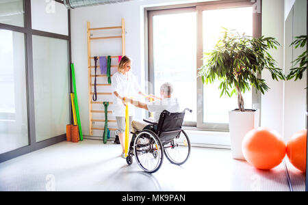 Junge Frau, die Physiotherapeuten arbeiten mit einem älteren Mann im Rollstuhl. Stockfoto