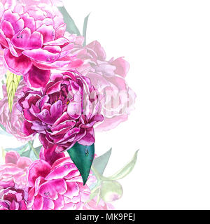 Vintage pfingstrose Vorlage. Aquarell Abbildung. Designelemente für Karten, Einladungen und Textil. Auf weiß isoliert. Stockfoto