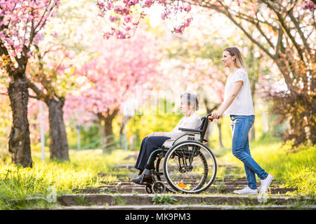 Ältere Großmutter im Rollstuhl mit Enkelin im Frühjahr die Natur. Stockfoto