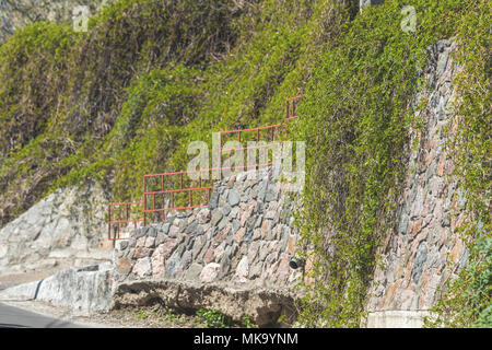 Steinerne Mauer oder Zaun mit wilden Trauben. Vintage wall mit natürlichen Blumen Rahmen. Wilde weinlese an der Wand eines alten Gebäudes Wand als Hintergrund. Stockfoto