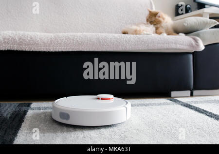 Roboter Staubsauger mit der Reinigung. Katze auf dem Sofa sitzen. Stockfoto