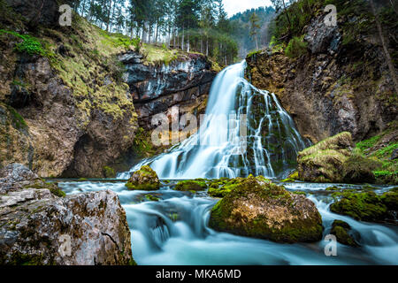 Schöne Aussicht von berühmten Gollinger Wasserfall mit bemoosten Felsen und grüne Bäume auf einem Moody im Frühling, Golling, Salzburger Land, Österreich Stockfoto