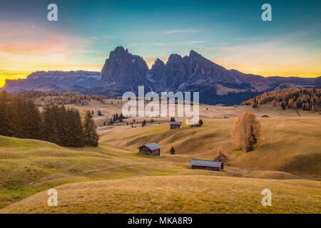 Traditionelle Mountain Chalets an der szenischen Seiser Alm mit berühmten langkofel Bergspitzen im Hintergrund bei Sonnenaufgang, Dolomiten, Südtirol, Italien Stockfoto