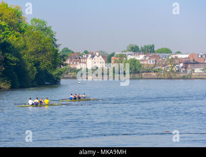 Hammersmith, London, Großbritannien. 07. Mai, 2018: Dieses Wochenende ist eine der heißesten und auch der heißeste Tag des Jahres so weit werden erwartet. In London, Ruderer machen die meisten das Wetter entlang der Themse weg. Credit: Bradley Smith/Alamy Leben Nachrichten. Stockfoto