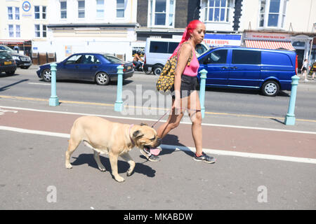 Brighton, UK. 7. Mai 2018. Eine Frau geht mit ihrem Hund auf Brighton Promenade an einem heißen May Bank Holiday als rekordtemperaturen Prognose für diese Zeit des Jahres Quelle: Amer ghazzal/Alamy leben Nachrichten Stockfoto