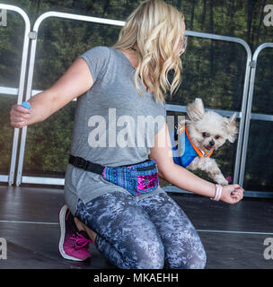 Brentwood, Essex, 7. Mai 2018, das britische's Got Talent Stolpergefahr und Lucy Heide Credit Ian Davidson Alamy leben Nachrichten Stockfoto