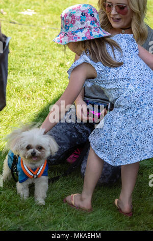 Brentwood, Essex, 7. Mai 2018, das britische's Got Talent Stolpergefahr und Lucy Heide mit einem Ventilator Credit Ian Davidson Alamy leben Nachrichten Stockfoto