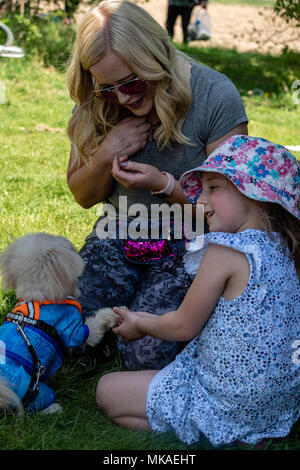 Brentwood, Essex, 7. Mai 2018, das britische's Got Talent Stolpergefahr und Lucy Heide mit einem Ventilator Credit Ian Davidson Alamy leben Nachrichten Stockfoto